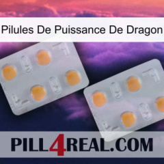Dragon Power Pills 25